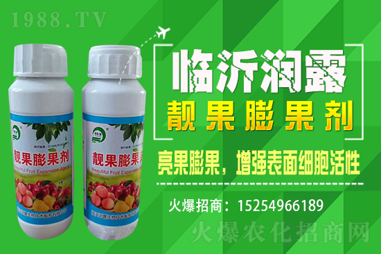 水稻價格野蠻上漲，漲價原因已揭開，能漲到1.6嗎？