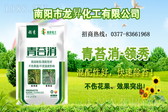 大豆供不應(yīng)求，價格持續(xù)上漲！各地大豆價格行情