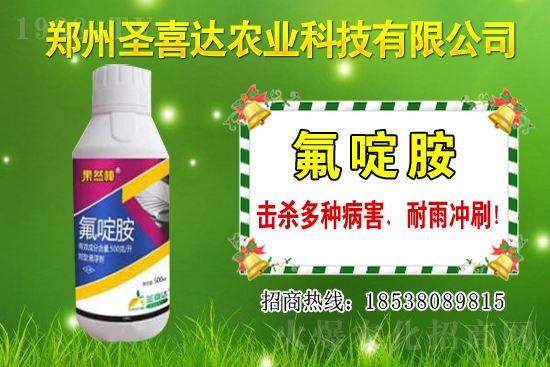 �������N��������Щ���������Ժ�ʲô�����׷N��