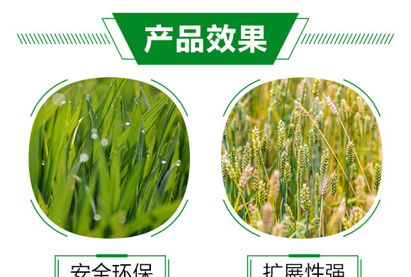 農(nóng)用有機(jī)硅助劑-速展(瓶裝)-愛(ài)農(nóng)斯達(dá)_05