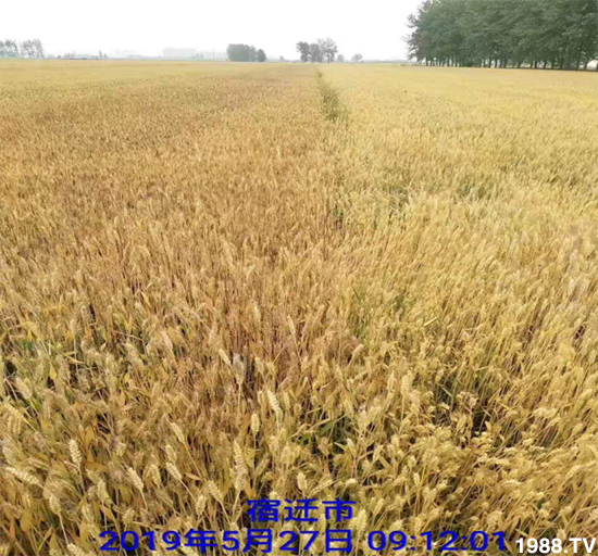 С����ù��Σ�����c(di��n)������С����ù����ʲôˎ��