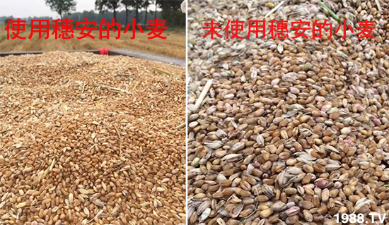 С����ù��Σ�����c(di��n)������С����ù����ʲôˎ��