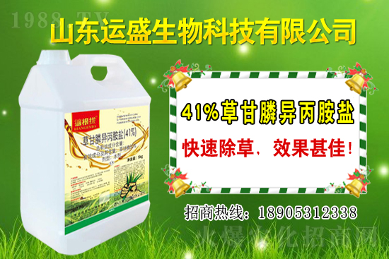 覆盆子生長習(xí)性有哪些？覆盆子種植技術(shù)！