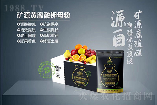 什么是蔬菜冷害？如何提高作物抗凍能力？