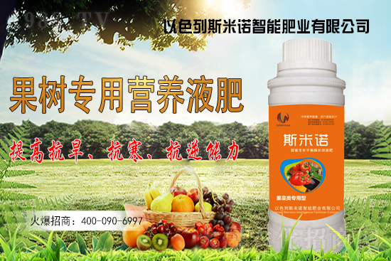 大豆價格持續(xù)“高漲”？今日東北大豆報價一覽！