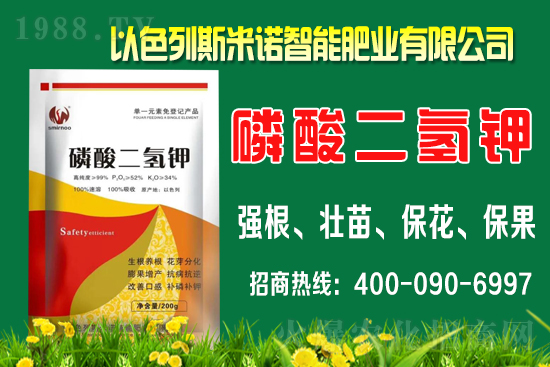 柑橘什么時(shí)間施肥？柑橘的施肥時(shí)間及用量介紹！