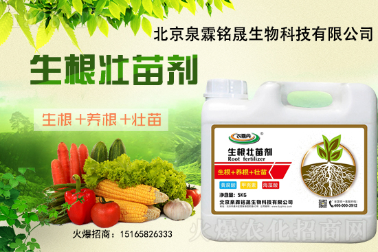 2020-11-26日國內(nèi)部分產(chǎn)區(qū)花生價(jià)格行情