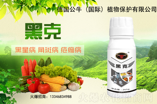 �|��������3Ԫ/�����11��28�մ󶹃r������