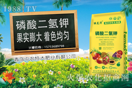 ����С���r(ji��)���ϝq�������Ƿ�����m(x��)�ϝq��