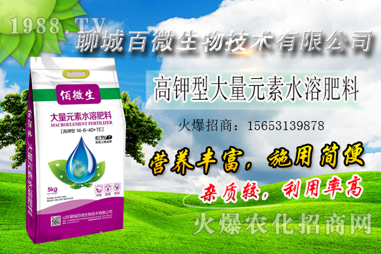 磷對植物的重要性有哪些？磷肥有什么功能？該怎樣用？