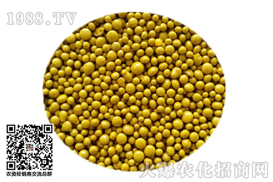 ��(f��)�Ϸʃr��