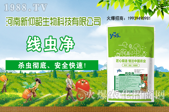 11��6�Շ���(n��i)С���r���ව(w��n)���ֲ�С�����ӣ�