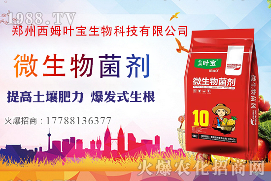     11月7日部分區(qū)域花生價格行情綜述分析！