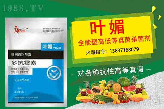 辣椒病害嚴(yán)重太難纏，如何輕松解決？