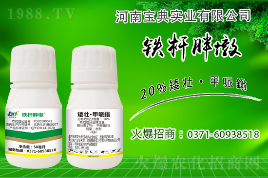 小麥冬前旺長(zhǎng)有什么危害？采取什么措施能有效防徒長(zhǎng)？