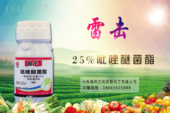 魔芋價格多少錢一斤?2021年魔芋種植前景如何?