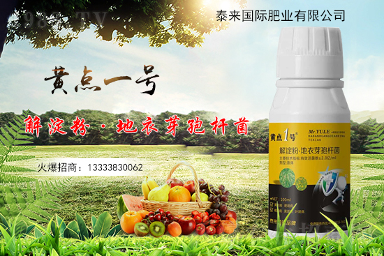 黃瓜葉片起“小黃點(diǎn)”是什么?。糠乐畏桨赣心男?？