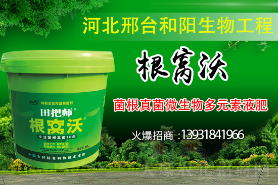 哪些病害屬于土傳病害？采取什么措施可以防治？