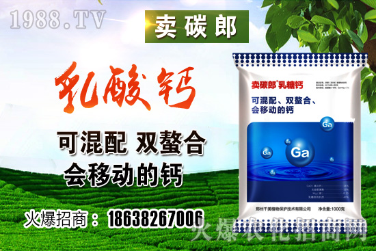 ���������^����С���r�����w��λڅ��(w��n)��