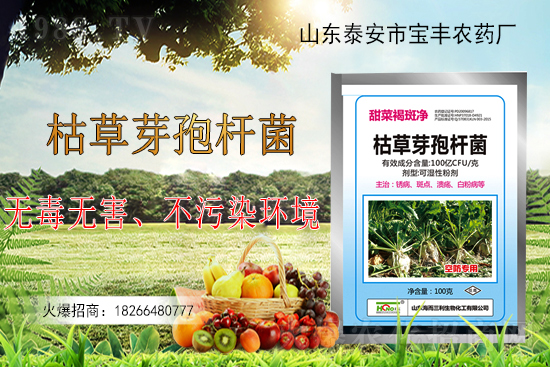 枯草芽孢桿菌能解決作物哪些問題？枯草芽孢桿菌在農(nóng)作物上的應(yīng)用！