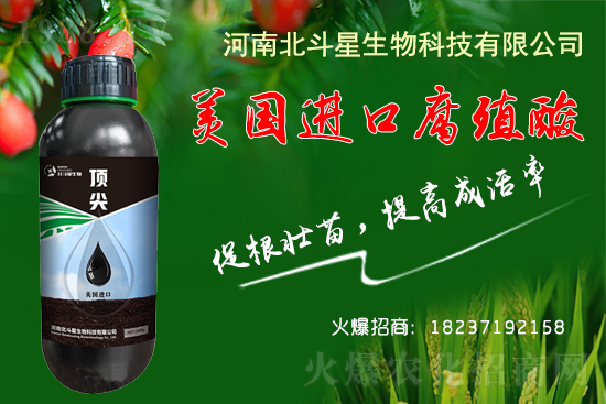 低溫條件下，大棚種植如何做到生根、養(yǎng)根、護(hù)根
