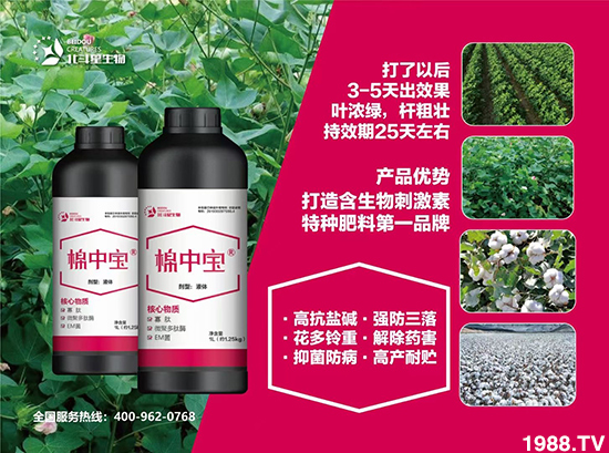 特種肥為什么這么火？有什么特點之處？