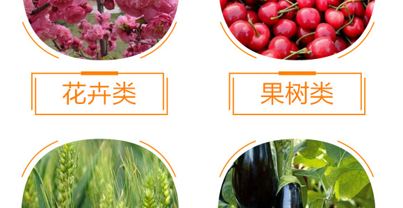 有機(jī)水溶肥料-多肽氮肥-一畫(huà)農(nóng)業(yè)_10