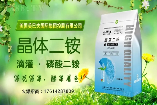 冬季茄果蔬菜蘸花如何避免藥害發(fā)生？蔬菜蘸花注意哪些問題？