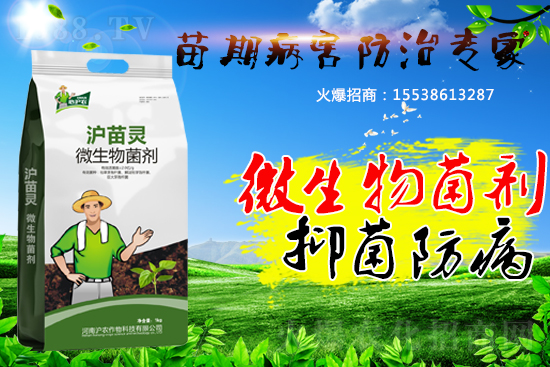 作物苗期病害“致命傷”，基本的預(yù)防方法您會(huì)了嗎？