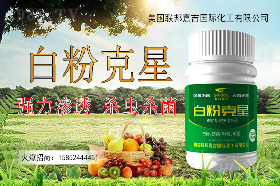 辣椒白粉病為何難以防控？辣椒白粉病如何用藥防治效果好？