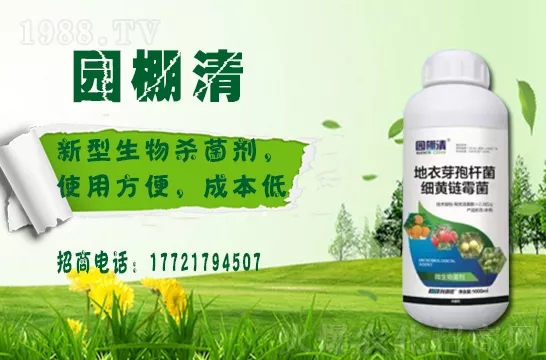 磷酸二氫鉀冬天用效果好嗎？磷酸二氫鉀如何提升植物抗寒能力的？