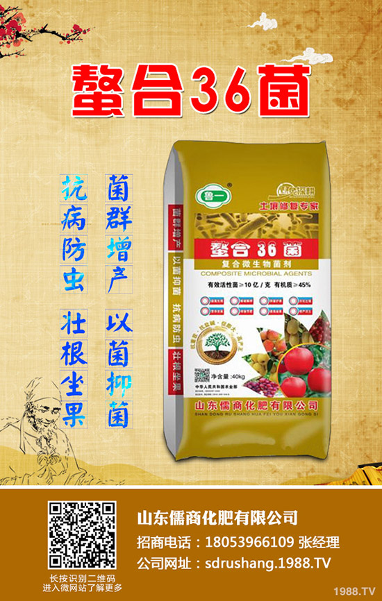     復(fù)合肥行情頻繁調(diào)漲，2020-3-11今日最新復(fù)合肥價格后市預(yù)測！