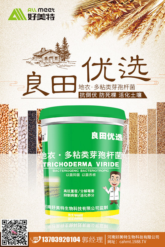 番茄青皮果到底什么原因？番茄青皮果如何有效預(yù)防？