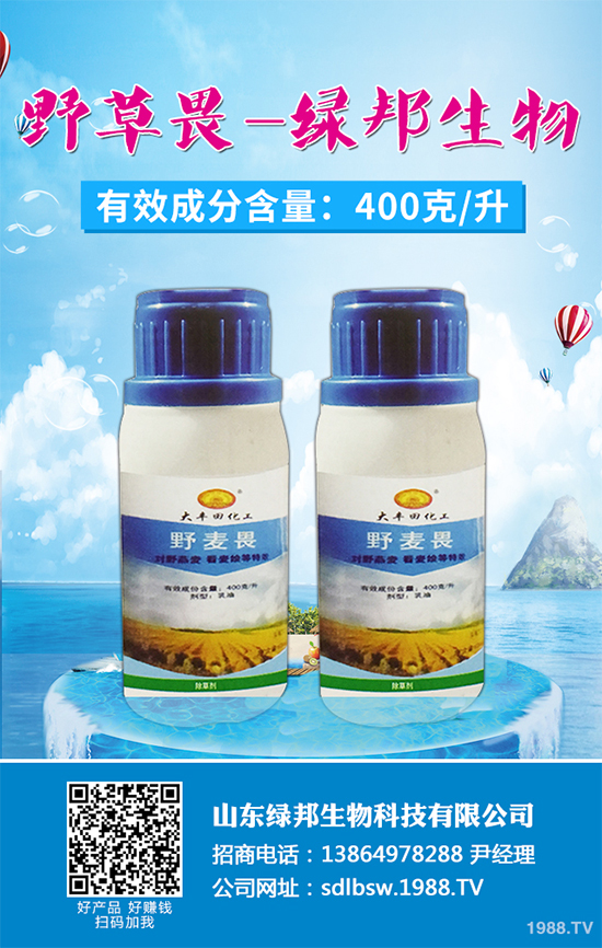 �O�����݄��r��