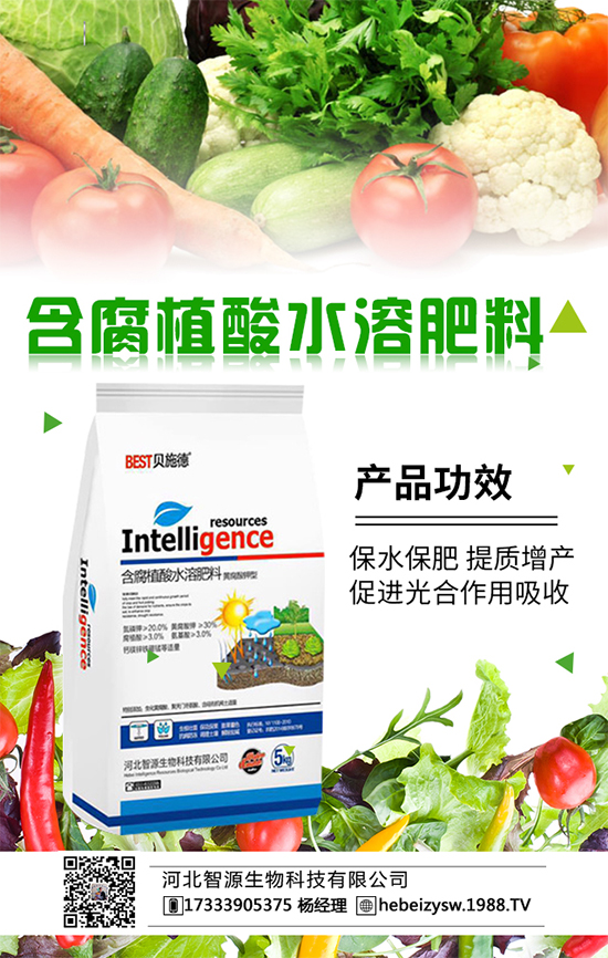 春季種植番茄施什么肥好呢？