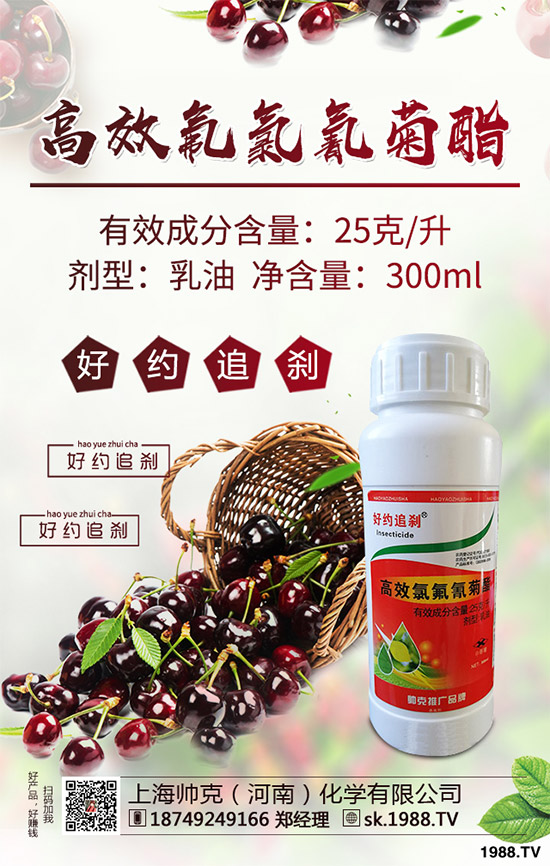 �˶����x(ch��ng)���r(ji��)��