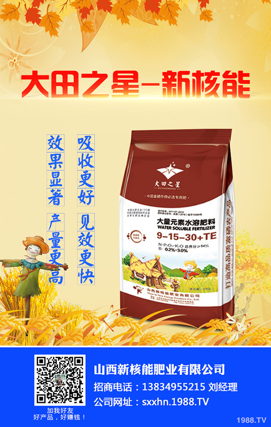 2020年3月13日今日最新國內(nèi)尿素價格走勢及交易日評