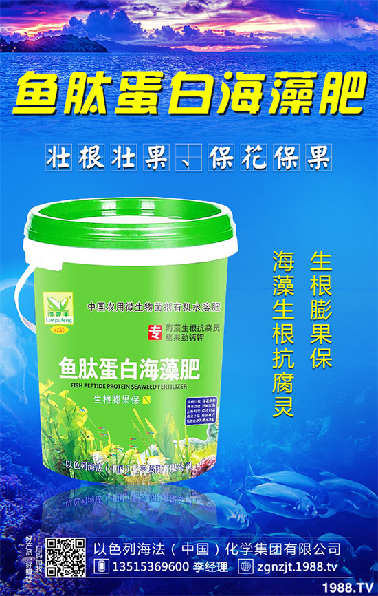 韭菜育苗需要移栽嗎？春季韭菜育苗移栽的注意事項(xiàng)