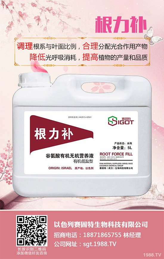 小麥春季常見(jiàn)的病害有哪些？該如何防治？春季小麥病害防治方法介紹