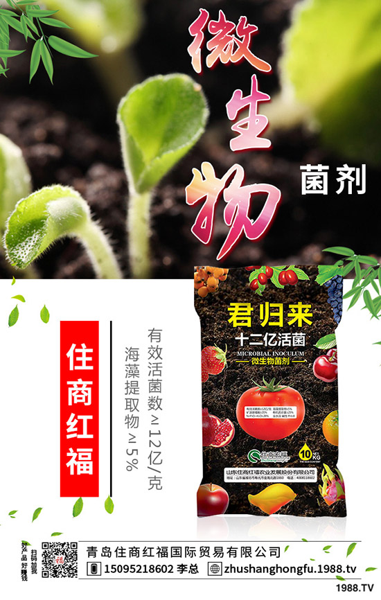 番茄肥害的典型癥狀有哪些，番茄發(fā)生肥害怎么辦？