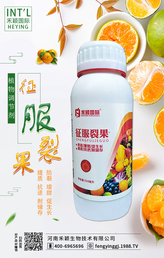 ����ʲô�r�g�m���ԷN�����ٷ�ˮ��������Щ��