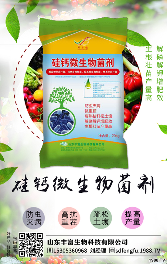 花生如何選種？花生怎么種植能高產(chǎn)？