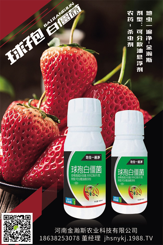 ���x��ԭˎ�r��