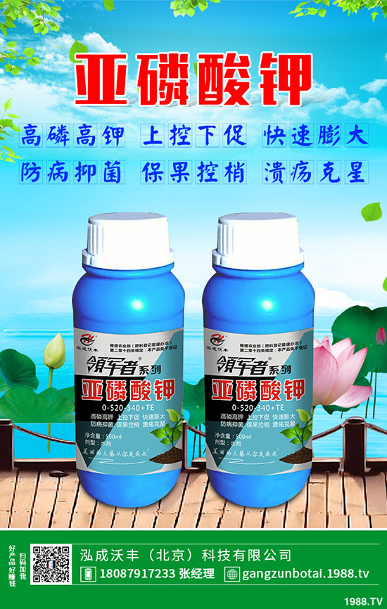 有機(jī)蔬菜與無(wú)公害蔬菜的區(qū)別,無(wú)公害蔬菜如何防蟲(chóng)?