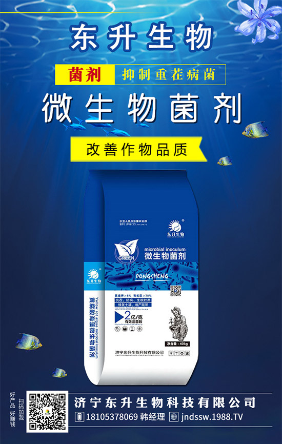 韭菜品種有哪些？韭菜的養(yǎng)殖注意事項(xiàng)！