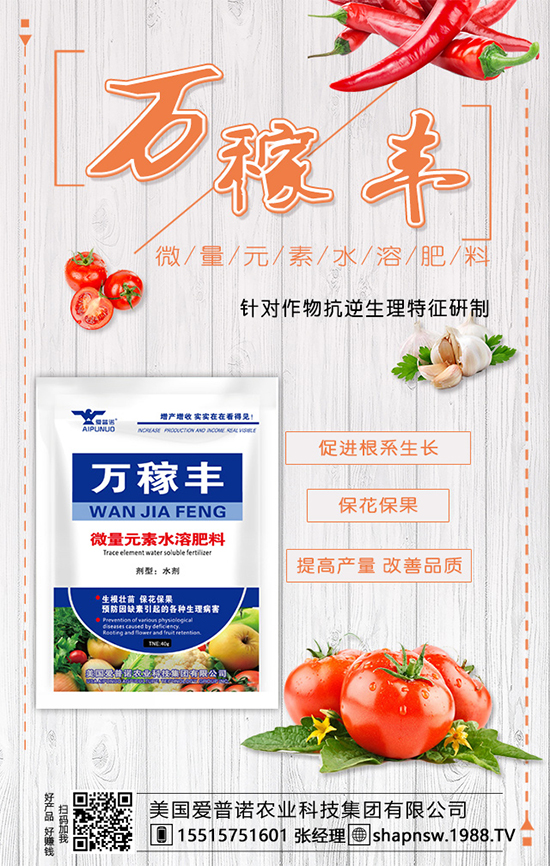 茶葉是什么時候種植的？茶葉的市場前景及種植效益！