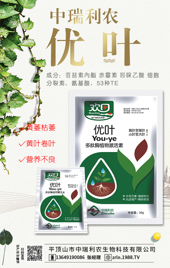 西瓜什么時(shí)間種植？西瓜伸蔓期管理要點(diǎn)！