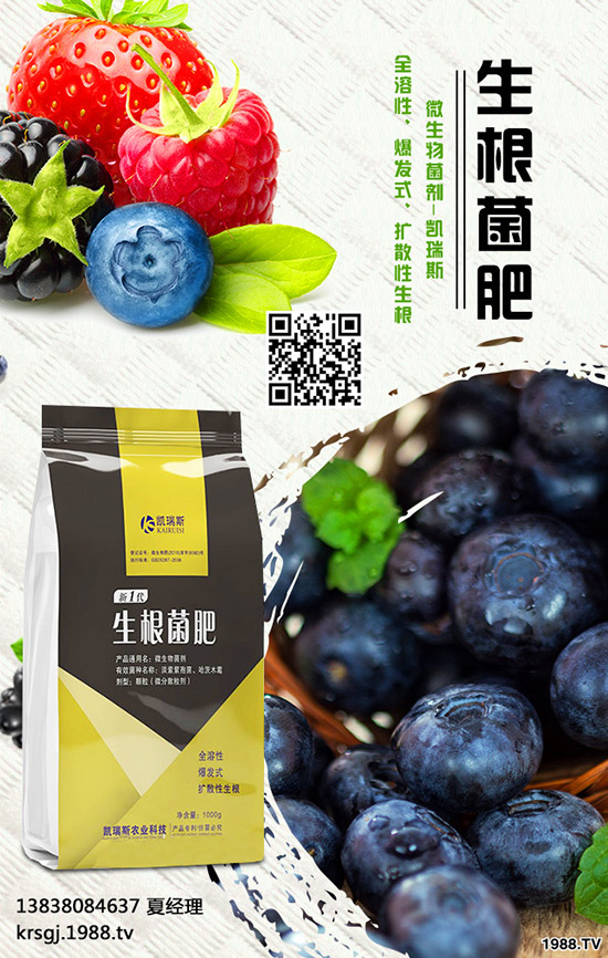 長(zhǎng)壽花盆栽施肥要注意哪些問(wèn)題,長(zhǎng)壽花盆栽施肥要點(diǎn)!