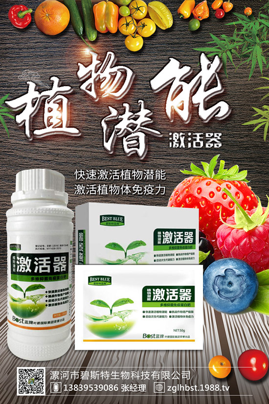 天麻怎么種成活率高？天麻什么時候種植更好？