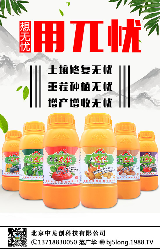 草莓為什么會發(fā)生肥害,草莓肥害要怎么補救?